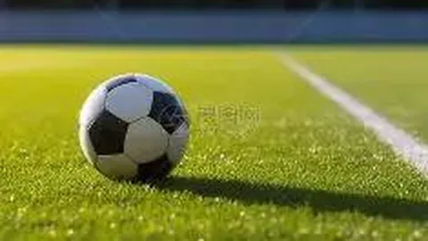 【双色球秘籍大公开】第2026018期独家精选：02号必中杀码，小薇为你揭晓幸运之门！