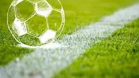 双色球2026年第021期红球3胆推荐：专家规划质合分析