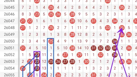 大乐透第2026022期专家质合分析推荐前区三胆号码：04