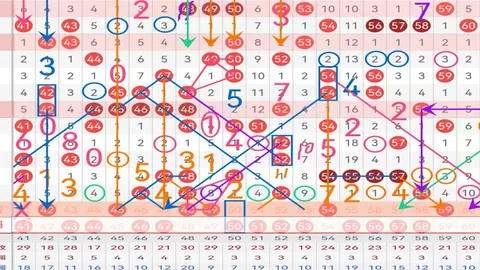 3D075期直选分析：专家质合推荐，前区十码秘籍分享